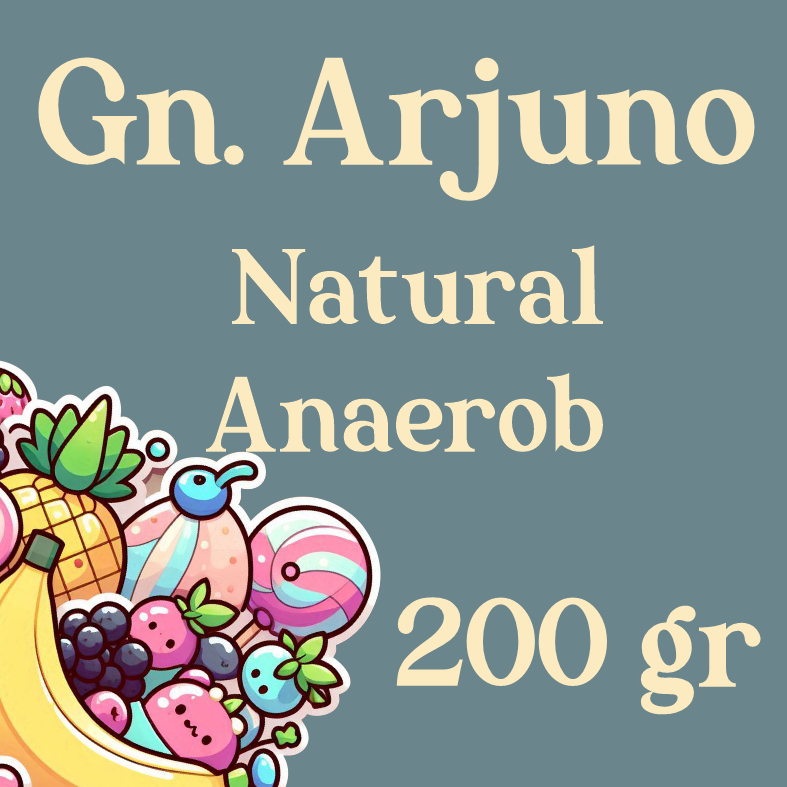 Arabica Gn. Arjuna Natural Anaerob 200gr