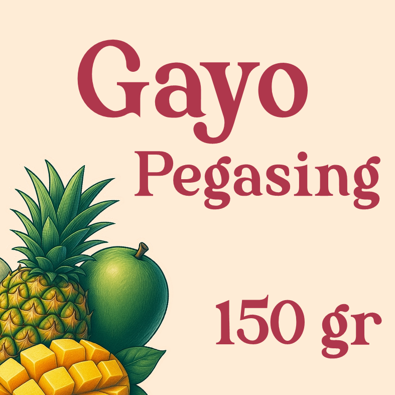 Arabica Gayo Pegassing Co-Ferment 100gr